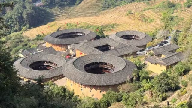 Escape the city plan! A healing one-day private charter tour to Yunshuiyao's banyan trees and the round earth buildings.