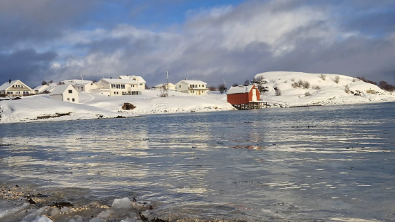 挪威特羅姆瑟-芬斯內斯-塞尼亞島一日遊【包車-跟團詢客服】