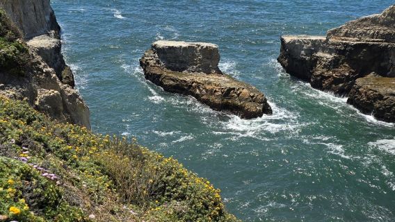 美國舊金山+經典一號公路路線一日遊/行程可調-可訂製