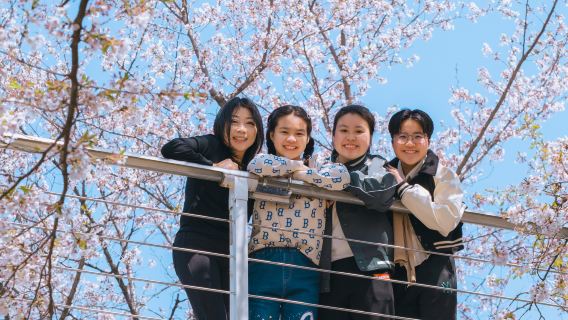 Trip Moments a Seul, Corea del Sud[Servizio fotografico professionale di strada + comunicazione in cinese + tutti i negativi inclusi + correzione colore completa + consegna foto entro 2 giorni | Snapro Fotografia]