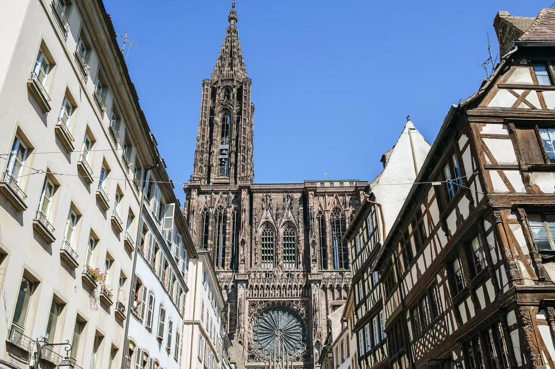 一日跨兩國！ 巴登巴登 黑林山+ 斯特拉斯堡中文包車暢玩