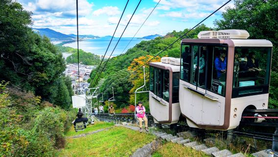 Tagesausflug zur Aussichtsplattform Amanohashidate, Wunscherfüllung im Chion-ji Tempel und Möwenfütterung in der Ine-Bucht, entspanntes Reisen in Kyoto