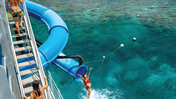 Crucero Sunlover [Estilo de celebridades/incluye esnórquel/almuerzo buffet/8 actividades gratuitas]