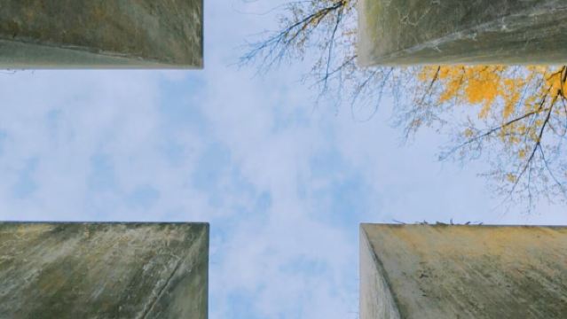 柏林歷史印記·人文包車一日遊