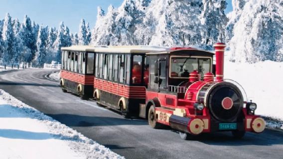 重慶-武隆一日旅遊活動【來回車費+仙女山門票+天生三橋門票+轉乘車+持證導遊+午餐】