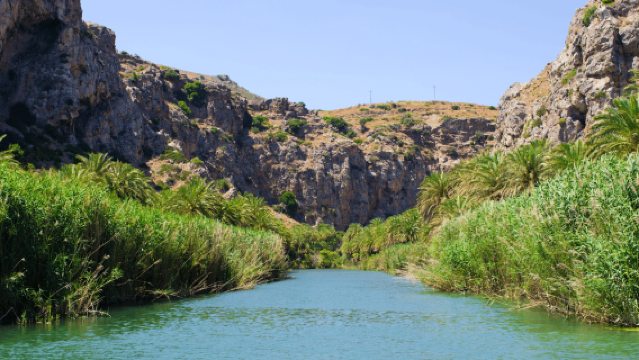 Depuis Héraklion : Randonnée vers la plage tropicale de Preveli et sa forêt de palmiers