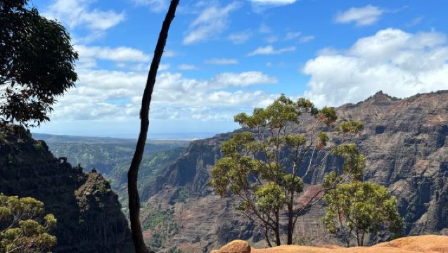 美國考愛島威美亞山谷+科基州立公園+卡勞拉瞭望台包車一日遊