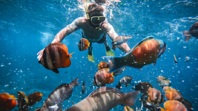 Experiencia de actividades acuáticas en Caspla, Isla Nusa Penida (snorkel/excursiones en kayak/banana boat/barco donut/moto acuática/barco volador/hidropedestal/caminata submarina/buceo/exploración en submarino)