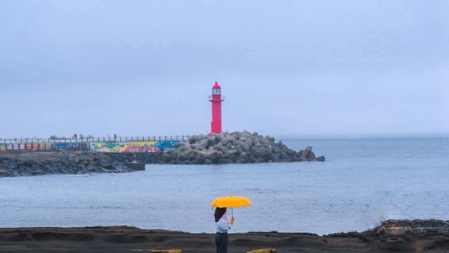 Koreas Einreisekarten-Ausfüllservice · Koreanischer Zollanmeldungsservice