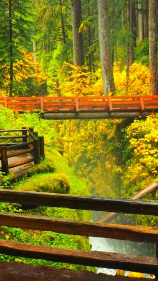 Seattle Olympic National Park Day Tour