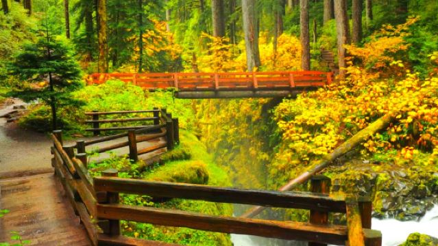 Seattle Olympic National Park Day Tour