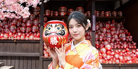 【大阪&京都名勝景點一日游】勝尾寺祈願&金閣寺巡禮&嵐山渡月橋&和服森林&竹林小徑&野宮神社(大阪或京都出發)