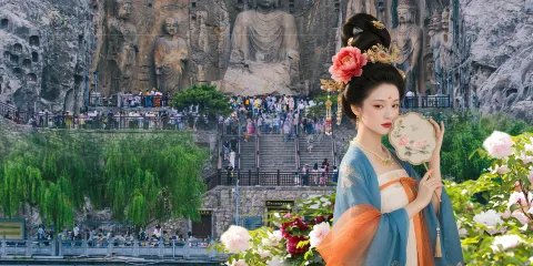 【2-8人精品小團】神州牡丹園+龍門石窟+白馬寺 精品一日遊