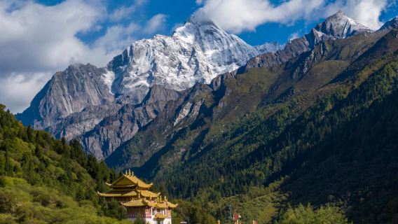 Shuangqiao Valley of Siguniang Mountain and Dujiangyan South Bridge 1-day tour [2–8-person premium small group + includes oxygen]