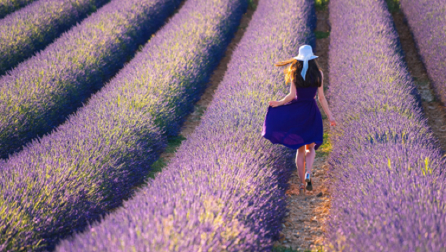 Perancis Avignon: Valensole + Tasik Sainte-Croix + Bandar Tembikar | Sewaan Peribadi Tersuai dalam Bahasa Cina