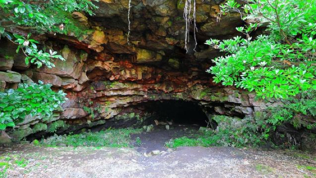 Jeju: Excursión de un día por los lugares UNESCO del este de Jeju