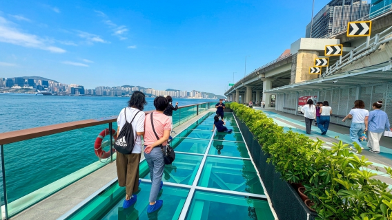 MTR中環駅発｜北角街歩きツアー＜OI!・春秧街・利強記北角鶏蛋仔・北角ウォーク・モンスターマンション＞日本語ガイド付き