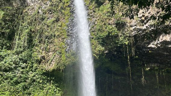 Passeio de um dia para La Fortuna + Vulcão Arenal + Termas Naturais na Costa Rica