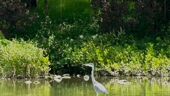 Lawatan Sehari di Jiangmen | Jalan Tiga Puluh Tiga Xu + Syurga Burung + Kampung Chenpi + Pakej Peribadi Kecil dengan Pengangkutan Pintu ke Pintu