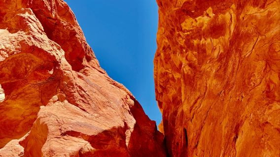 Amerika Syarikat Las Vegas - Valley of Fire - Lawatan Sehari - Sewaan Peribadi - Nikmati Perlahan | Tidak Termasuk Tiket