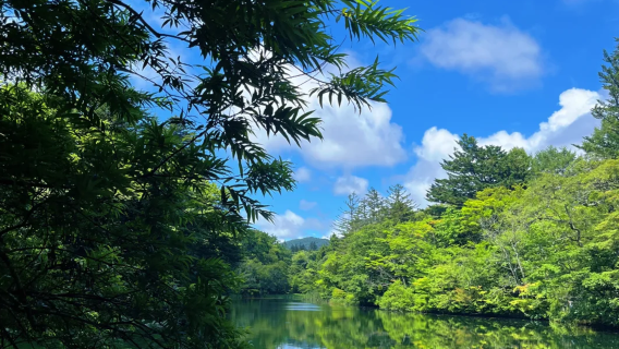 [Pergi-balik Tokyo] Lawatan sehari Kuil Glacial Karuizawa Imperial Little Edo | Pakej berkumpulan Bahasa Cina