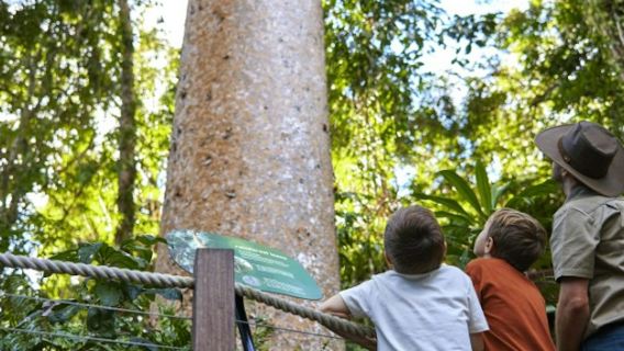 Skyrail & Kuranda Scenic Railway: Skyrail hinauf & Zugticket hinunter