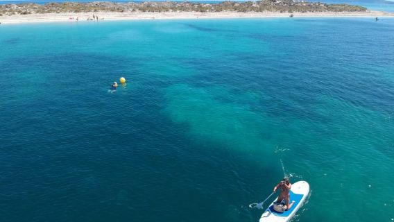 Exclusive Catamaran Sail to Formentera