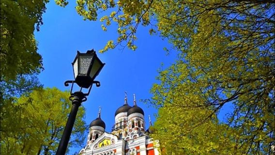 Tallinn: Old Town Food Tour from the cruise port