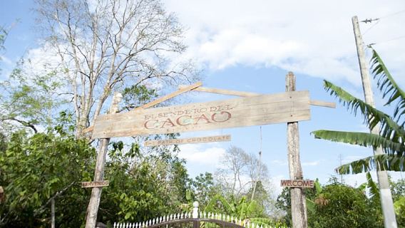 Dominican Republic: 3-Hour Chocolate Lovers Tour