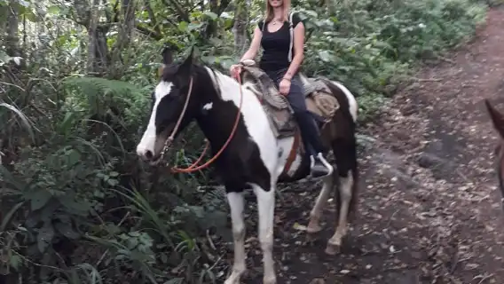 2 Hours Small-Group Horseback Riding Experience in Banos