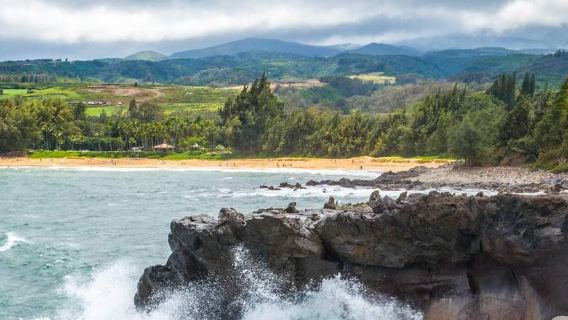 Hawaii islandTours