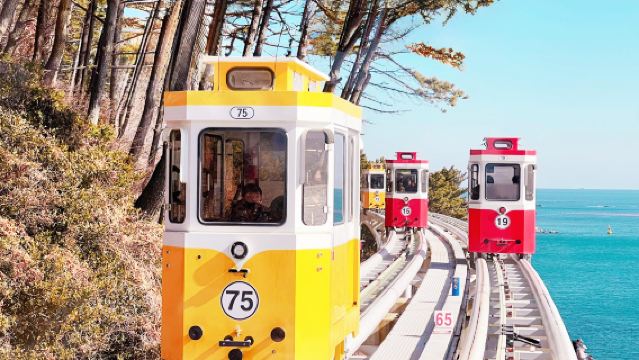 Gyeongju Unesco World Heritage Site + Sky Capsule Day Tour (From Busan)