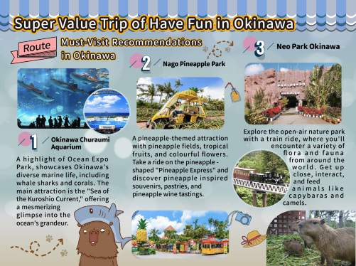 Have Fun In Okinawa｜ 楽しい沖縄パス1 Week Free Pass | Trip.com