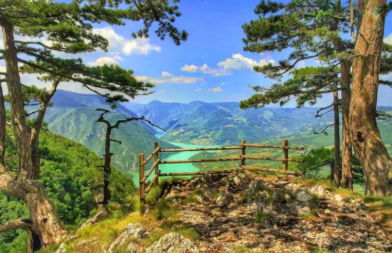 塞爾維亞塔拉公園波黑跨國一日遊【貝爾格萊德到薩拉熱窩可逆】