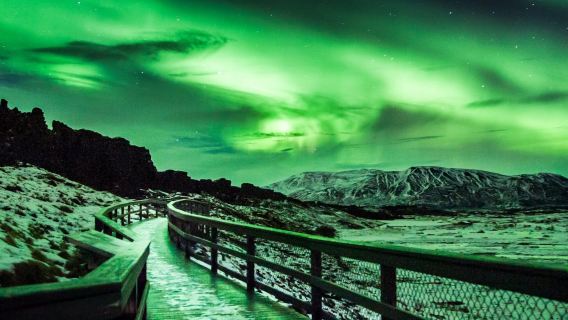 Reykjavík: Northern Lights Bus Tour