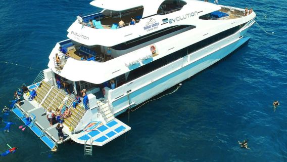 Ganztagestour zum äußeren Great Barrier Reef inklusive Mittagessen