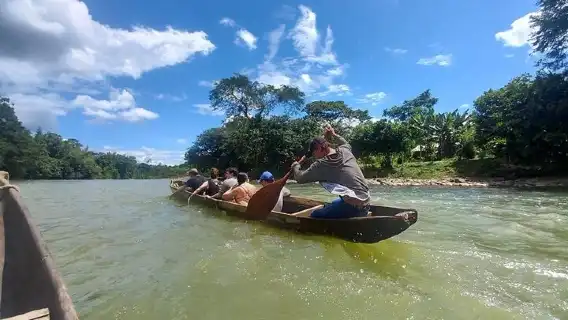 Tour to the Amazon for one day