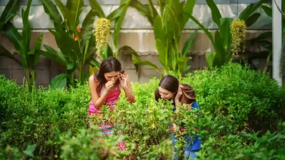 清邁媽媽泰餐學校半日遊【MAMA NOI|學校接駁