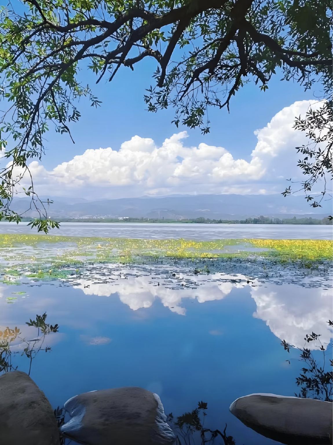 Erhai Lake + Dali Ancient City + Cangshan Mountain + Xizhou + Shuanglang + Luwo Mountain Relic Site + Panxi Village Lakeside Tour