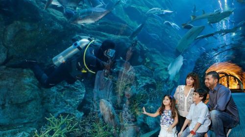 Dubai Attraction: Dubai Aquarium & Underwater Zoo Day Tours 5