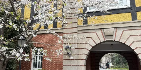 法租界步行與咖啡之旅(田子坊、思南公館、小巷、法國公園)