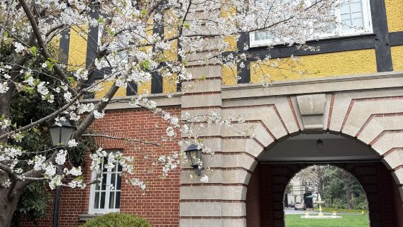 French Concession Walking and Coffee Tour (Tianzifang, Sinan Mansion, Alleys, French Park)