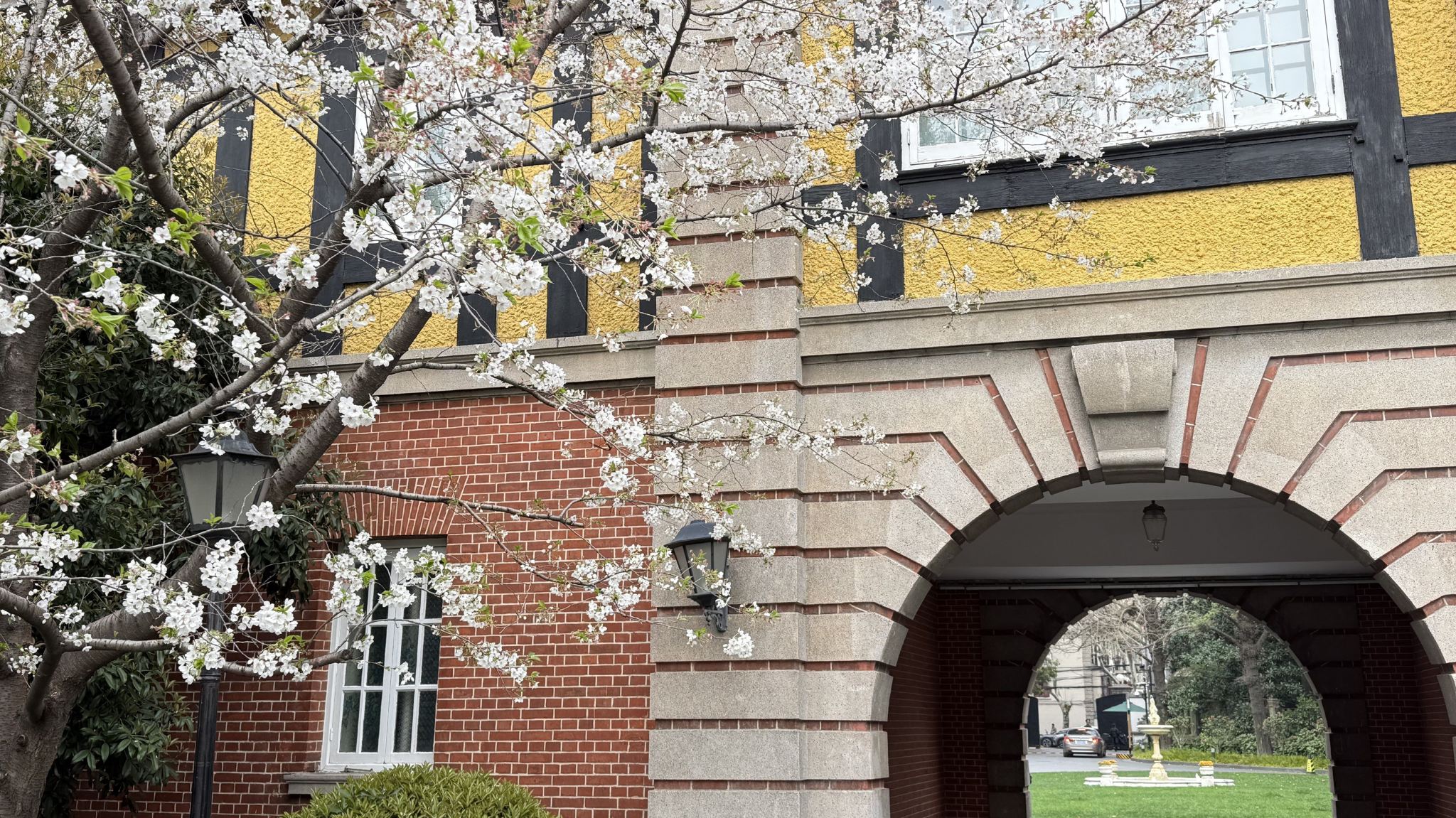 French Concession Walking and Coffee Tour (Tianzifang, Sinan Mansion, Alleys, French Park)