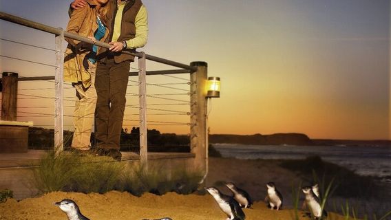 Phillip IslandTours