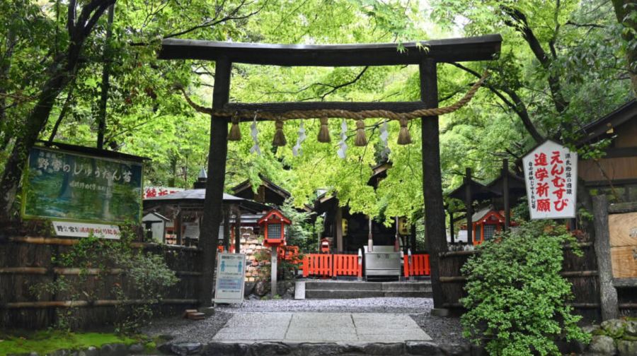 【京都網紅美景打卡】勝尾寺+美山茅葺屋集落+嵐山一日遊