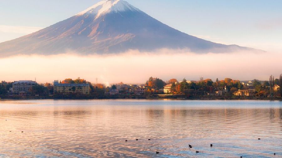 日本東京+富士山+富士五湖一日遊/行程可調-可客製化多日遊