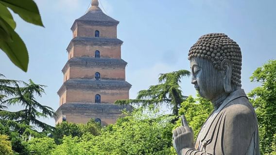 Xi'An Day Tour- Kyoto of China | Qinglong Temple- Big Wild Goose Pagoda- City Wall