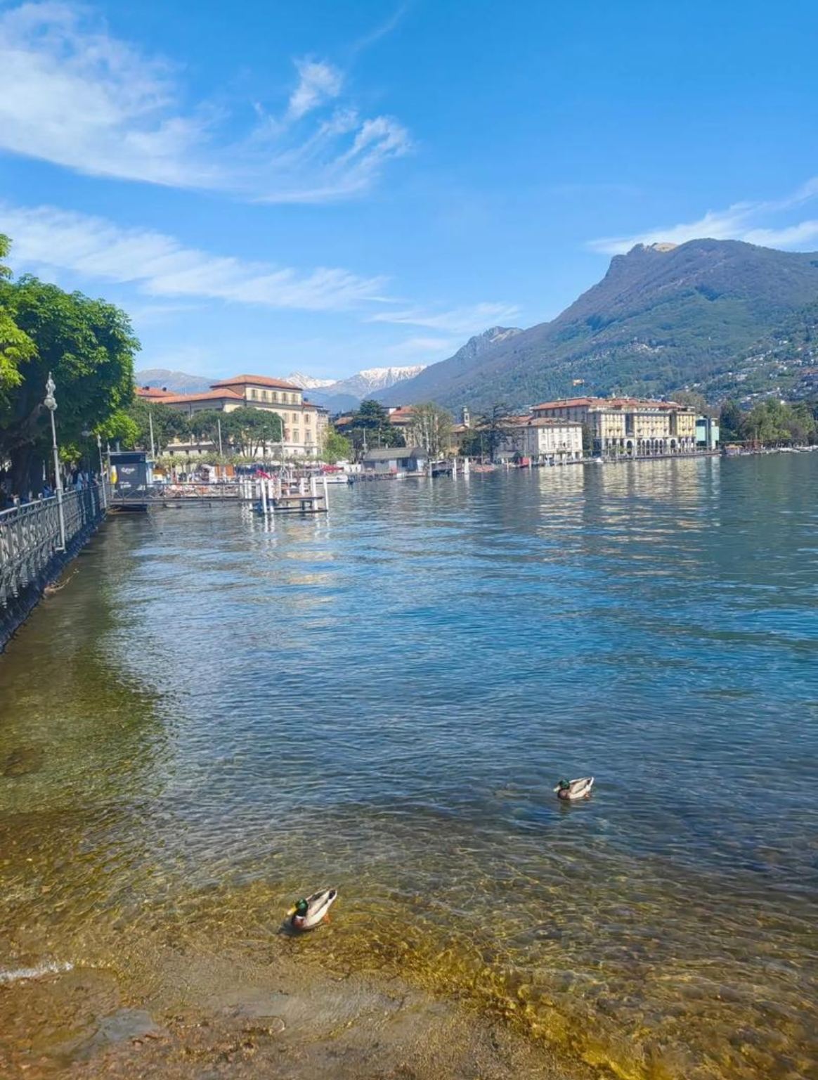 盧加諾啟程：解鎖因特拉肯・格林德瓦與少女峰冰川盛宴