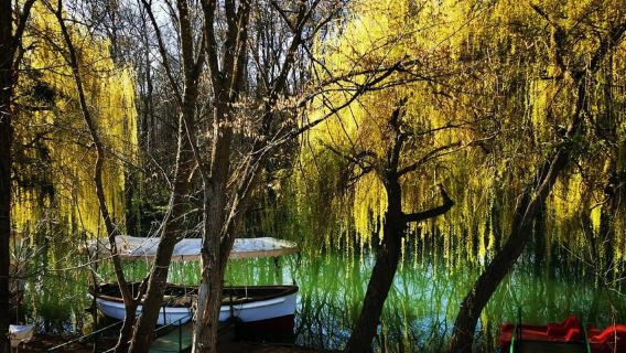 Private Day Tour: Aladzha, Varna, Pobiti Kamani, Kamchia