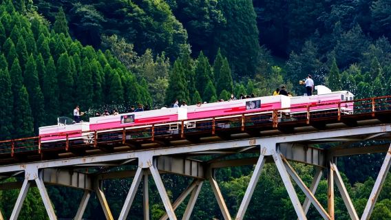Kyushu's Three Great Scenic 1-day tour: Takachiho Gorge and a Fun Train
